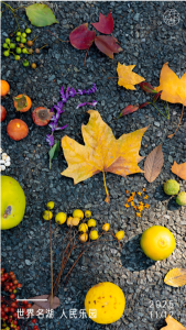 东湖捡秋-未及网络科技