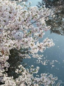 磨山景区-未及网络科技