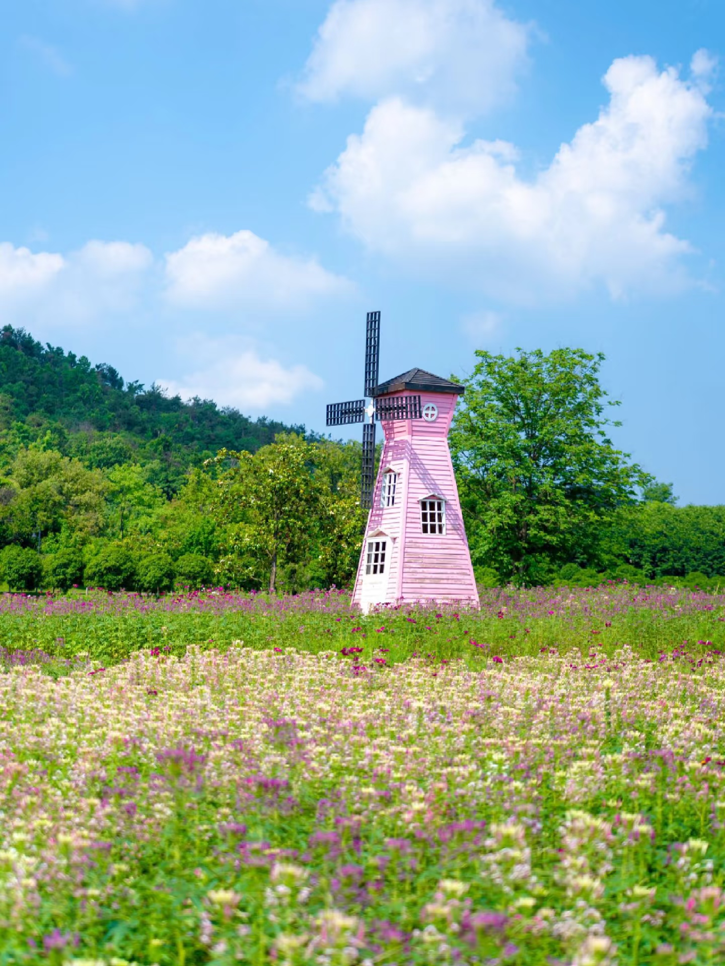 马鞍山森林公园