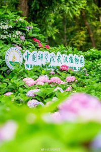 武汉植物园-未及网络科技