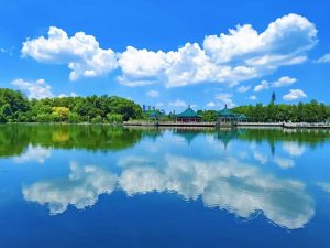 武汉东湖绿道-未及网络科技